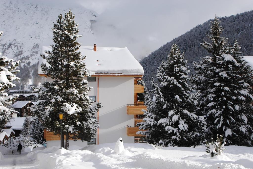 Elite Alpine Lodge - Apart & Breakfast Saas Fee Exteriör bild